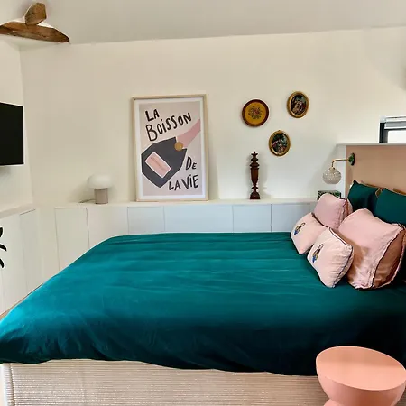 Appartement Charmante suite en centre ville Épernay